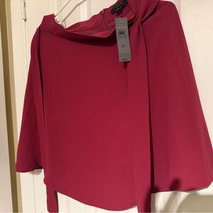 Ann Taylor Petite Magenta skirt size 2 petite